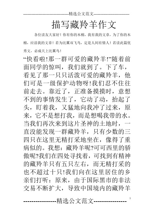 描写藏羚羊作文