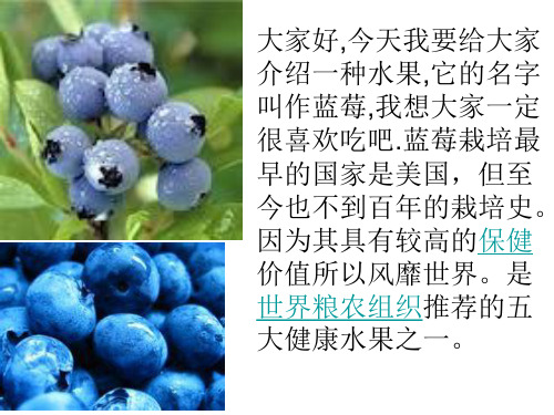 蓝莓介绍PPT