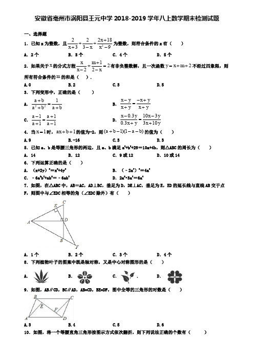 安徽省亳州市涡阳县王元中学2018-2019学年八上数学期末检测试题