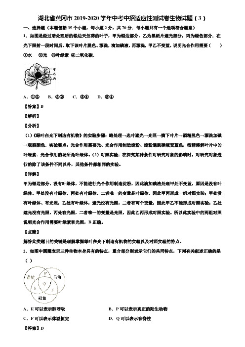 湖北省黄冈市2019-2020学年中考中招适应性测试卷生物试题(3)含解析