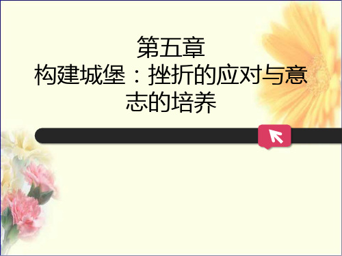 大学生心理健康教育 第五章 构建城堡：挫折的应对与意志的培养
