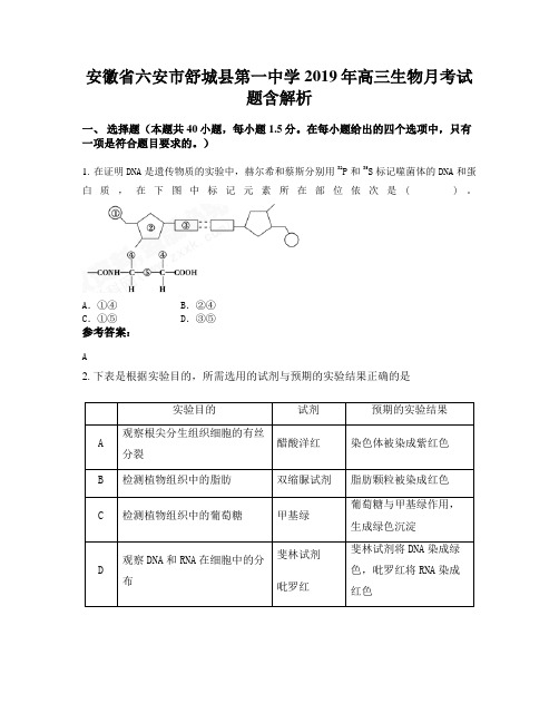 安徽省六安市舒城县第一中学2019年高三生物月考试题含解析