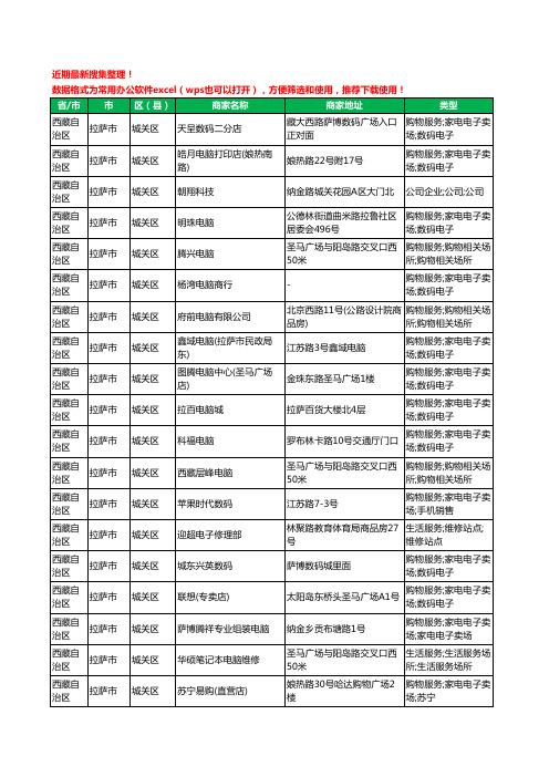 2020新版西藏自治区拉萨市城关区电脑工商企业公司商家名录名单黄页联系方式大全41家