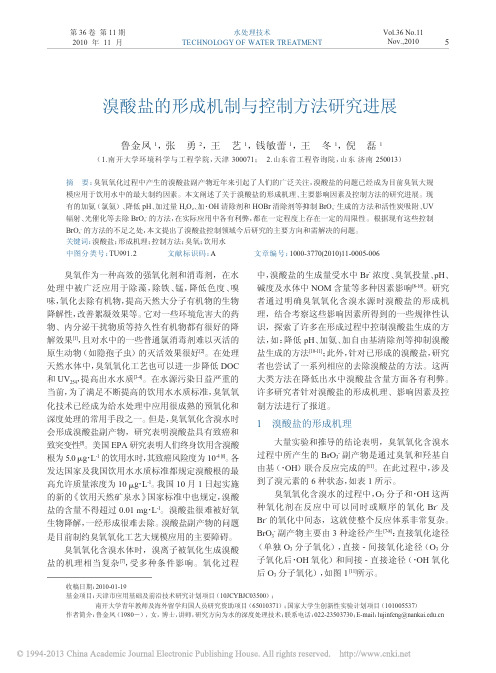 溴酸盐的形成机制与控制方法研究进展