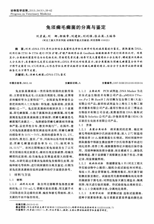 兔须癣毛癣菌的分离与鉴定