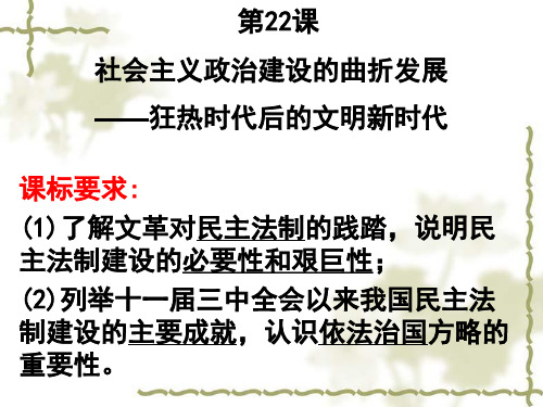 高中必修一课件：22课 社会主义政治建设的曲折发展 (共16页)