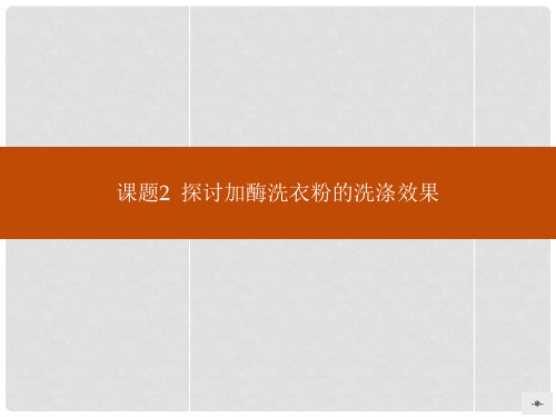 高中生物 4.2探讨加酶洗衣粉的洗涤效果课件 新人教版选修1