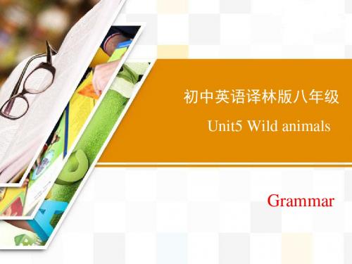 牛津译林版英语八年级上册Unit5 Grammar 精品课件