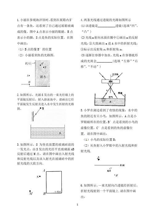 物理中考复习：光学作图 - 副本 (2)
