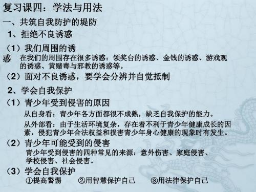 九年级政治中考复习课四学法与用法课件人教版