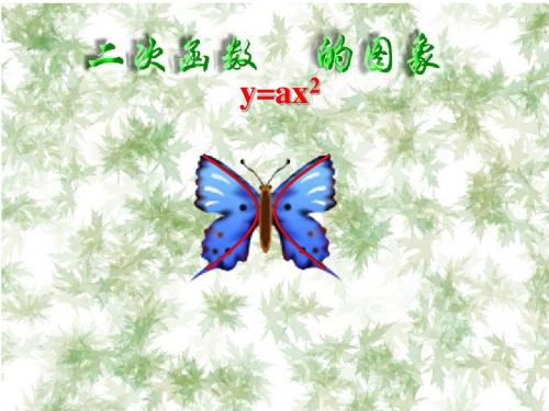 江苏省太仓市第二中学九年级数学下册 二次函数的图象课件(1) 苏科版