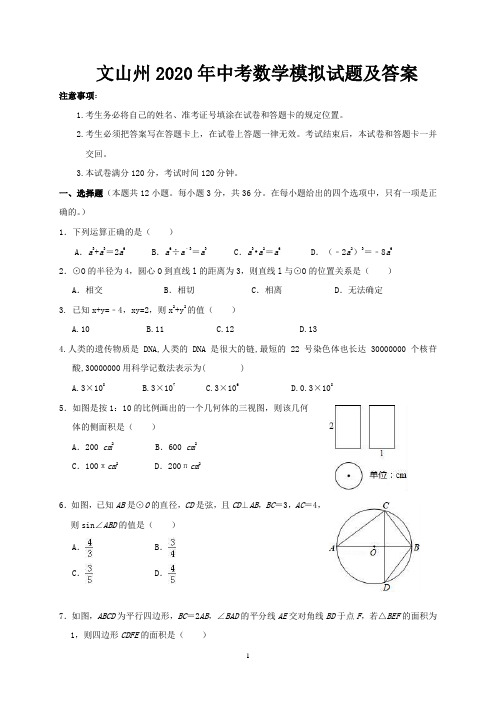 文山州2020年中考数学模拟试题及答案