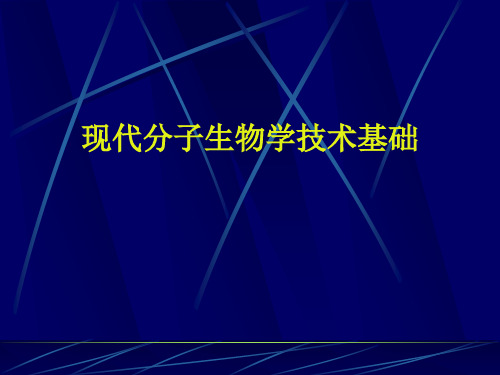 现代分子生物学技术基础之蛋白质表达及蛋白质组学分析(52页)