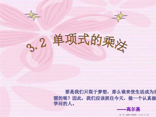111浙教版数学七年级下册3.2-单项式的乘法-课件-(共17张