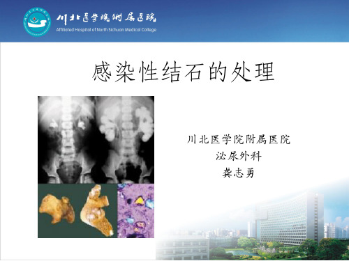 (仅供参考)感染性结石的处理