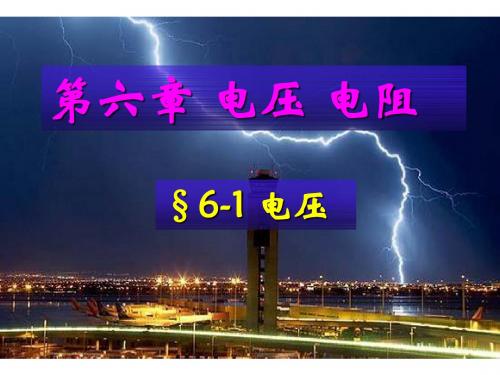 《电压》ppt19