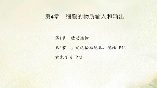 2021新版新教材人教版高中生物必修1分子与细胞第四章细胞的物质输入和输出 教学课件