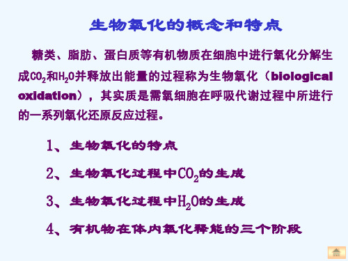 生物化学考研考研生物氧化