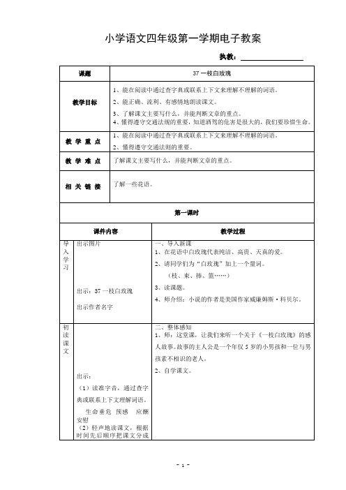 37一枝白玫瑰