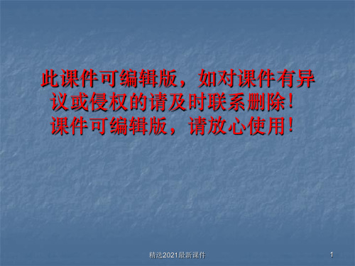 城里最漂亮的巨人公开课PPT课件