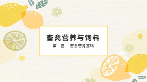 《畜禽营养与饲料》课件：畜禽对饲料的消化