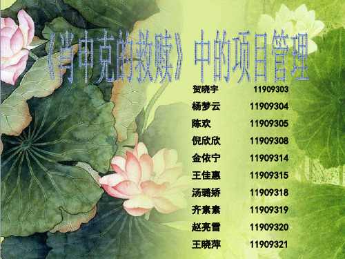 肖申克的救赎项目管理