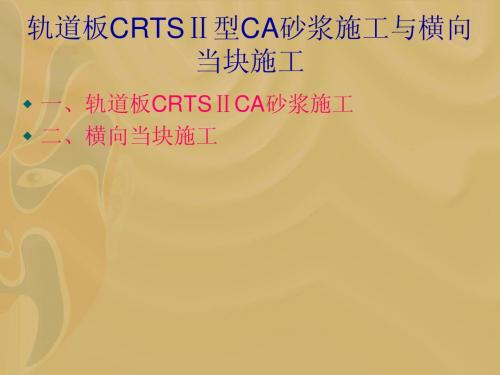 轨道板CRTSⅡ型CA砂浆施工与