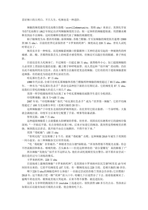 如何登上辣度巅峰