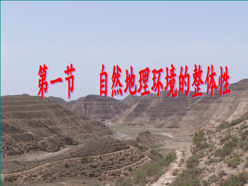 人教版地理必修一第五章第一节自然地理环境的整体性课件(共24张PPT)