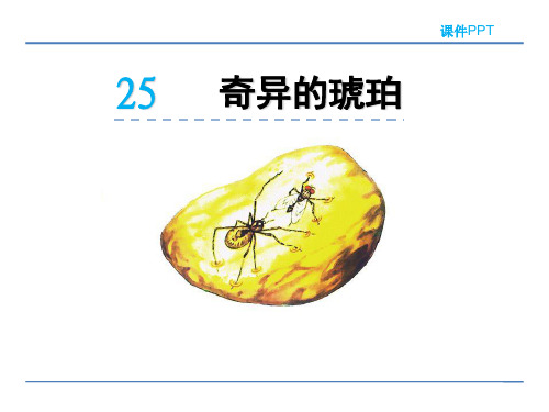 2018春北京版五年级语文下册《25 奇异的琥珀》课件