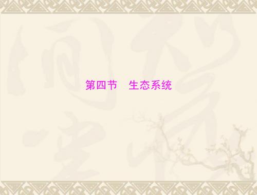 生物：1.2.4《生态系统》课件(人教版七年级上)
