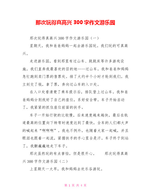 那次玩得真高兴300字作文游乐园