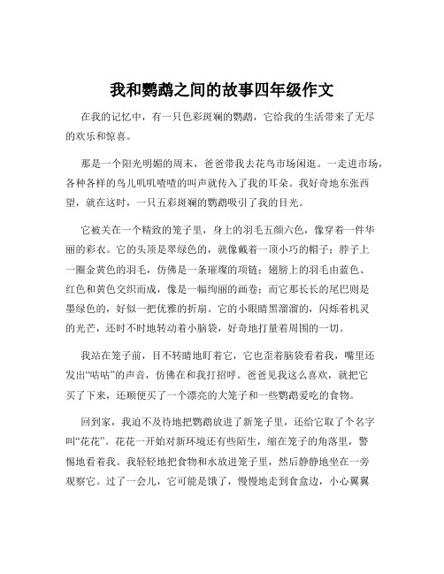 我和鹦鹉之间的故事四年级作文