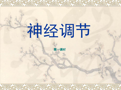 科学：3.3《神经调节》(第一课时)课件(浙教版八年级上)PPT资料18页