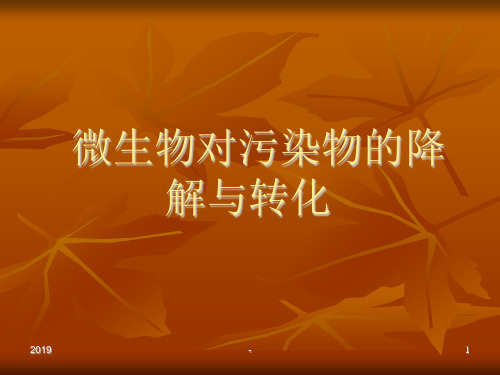 微生物对污染物的降解与转化