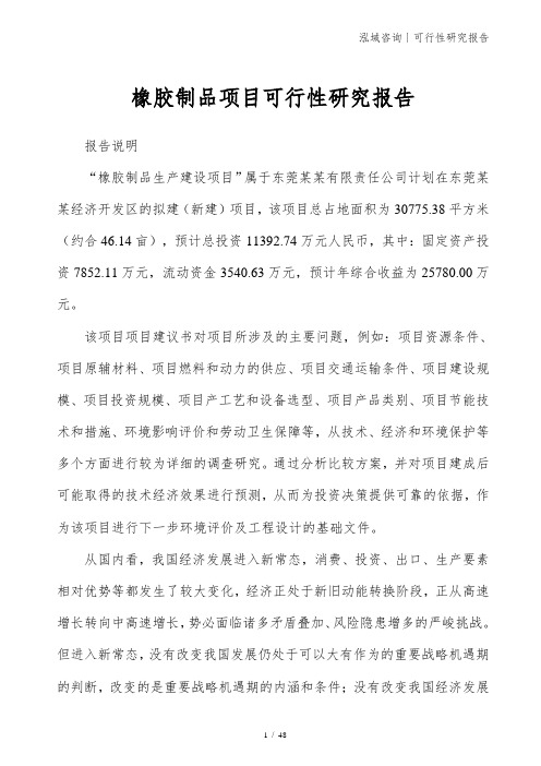 橡胶制品项目可行性研究报告