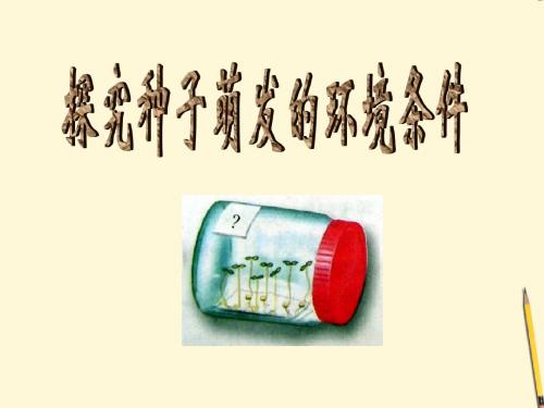 济南版八年级生物上册《第四节、种子萌发》课件