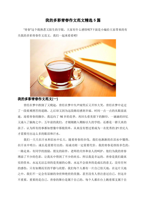 我的多彩青春作文范文精选5篇