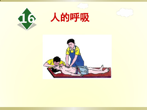 2019苏教版小学科学三年级上册《人的呼吸》课件