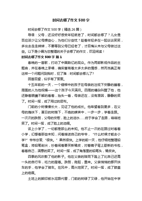 时间去哪了作文500字（精选26篇）