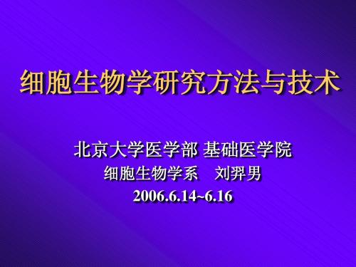 免疫组化060614