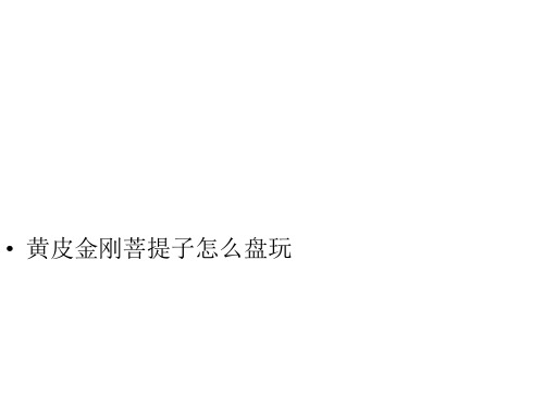 黄皮金刚菩提子怎么盘玩