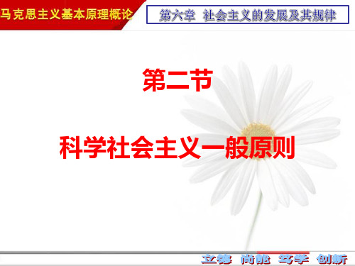 2018版 马原 第六章 第二节  科学社会主义一般原则