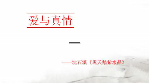 好书 ——沈石溪《黑天鹅紫水晶》