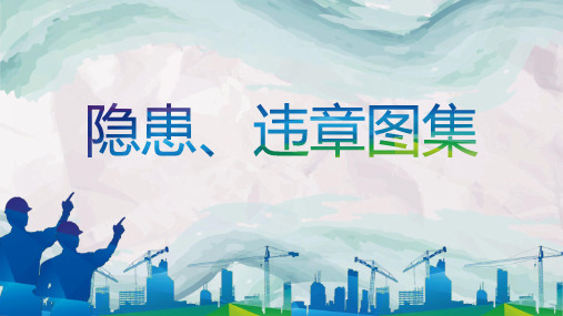 11大类500张违章图集(1)(1)