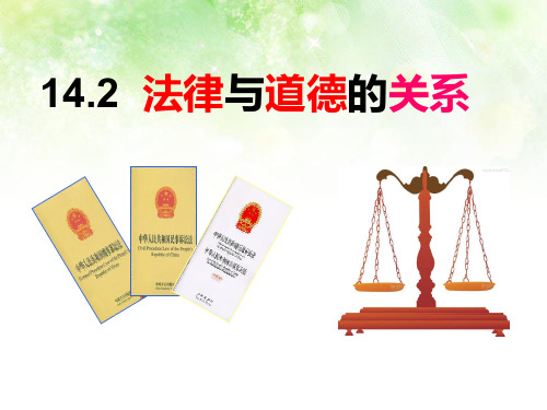 政治课件苏教版八下第十四课第二框  法律与道德的关系(共16张PPT)