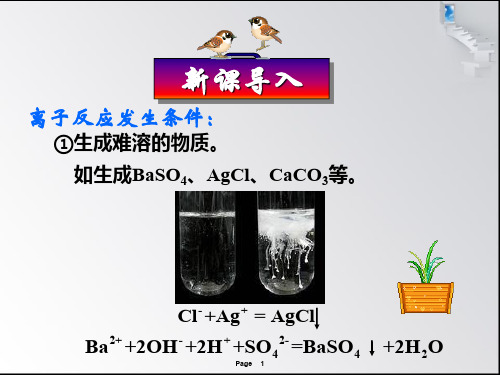 人教版高二化学选修4课件-3.4难溶电解质的溶解平衡(共53张PPT)