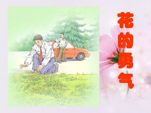《花的勇气》ppt课件免费