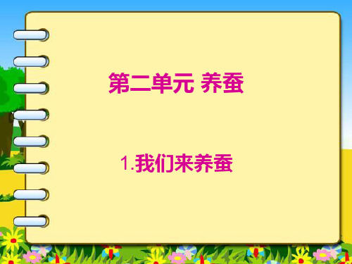苏教版科学四级下册《我们来养蚕》PPT课件