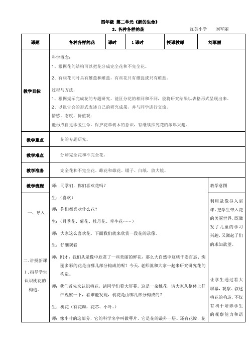 说课教案花的结构